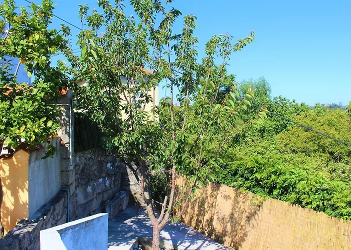 Bonjoia Apartamento *