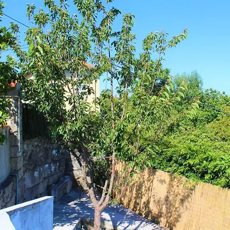 Bonjoia Apartamento *